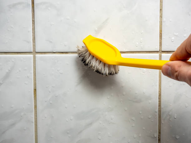 Best Health and Safety Mold Remediation in Kimball, TN